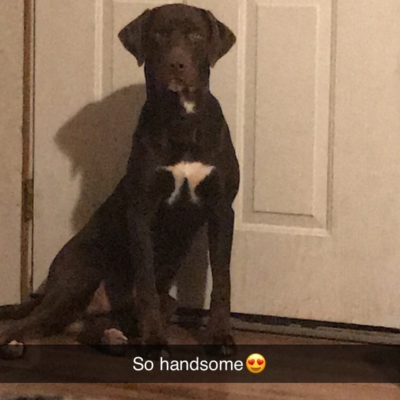 Meet your Posher, Hannah - Picture 1 of 1